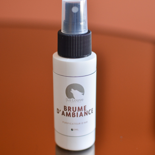 BRUME D'AMBIANCE